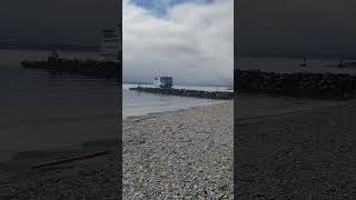 The Kennewick Ferry coming into Coupeville WA salishsea wastateferry [upl. by Adnole]