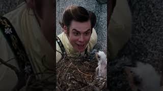 How ace Ventura bird feeding Keeps Reinventing Itself aceventura trending viral youtube [upl. by Vaclava]