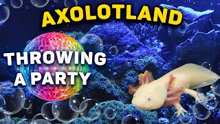 Axolotl party in the aquarium [upl. by Ykcul]