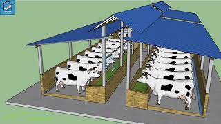 ২০ টি গরুর খামারের ডিজাইন for 20 Cow Farm design in Bangladesh [upl. by Dachy]