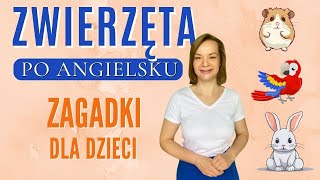 Angielskie zagadki  ZWIERZĘTA  angielski dla dzieci [upl. by Isac237]