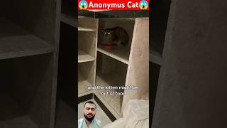 Girl found an Anonymous Cat in her home stealing meat babycat cat animallover wildlife [upl. by Church]