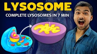 चाह कर नही भूल पाओगे  Lysosomes in Hindi [upl. by Ringo280]