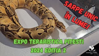 EXPO TERARISTICA PITESTI 2024 EDITIA A 2 A [upl. by Fleck]