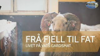 Vats Gardsmat 🐑 Frå fjell til fat [upl. by Amersham]