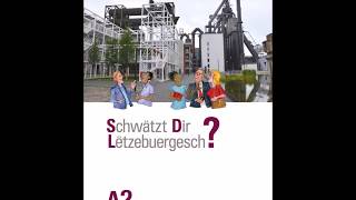 Schwätzt Dir Lëtzebuergesch – Niveau A2 KAPITEL 1Audio3 [upl. by Kaleb]