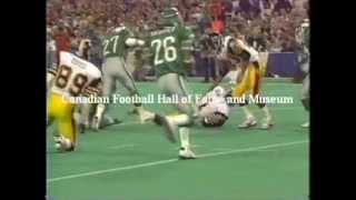 1989 Grey Cup highlights Saskatchewan Roughriders vs Hamilton TigerCats [upl. by Lory]