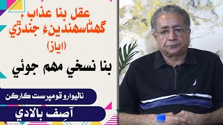 Asif Baladi  Adventurism  Leader TV [upl. by Awram]