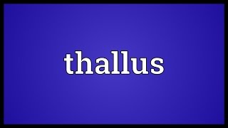 Thallus Meaning [upl. by Eneri]