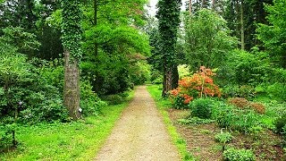 Uczta dla wszystkich zmysłów  maj w Arboretum Rogów 2014 [upl. by Chadburn]