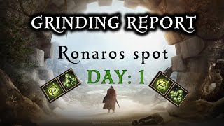 Ronaros Piece grind report Day 1  Black Desert Online  Newbies Adventure [upl. by Gussie54]