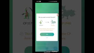 Treecko Grovyle Sceptile The FULL GrassType Evolution Showcase in Pokemon GO shorts [upl. by Stromberg]