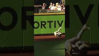 What a catch by Daulton baseball mlb [upl. by Tally]