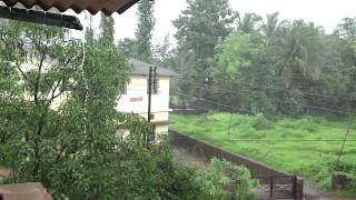 Monsoon in Rain forest of India [upl. by Aiotal]