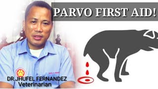 PARVO FIRST AID  HOME REMEDIES SA SAKIT NA PARVO [upl. by Wyatan]