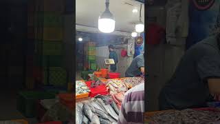 IRITTY FISH MARKET EXCLUSIVE VIDEO ONLY ON MALLU VLOGS 2 TechTravelEat WayanadanVloger [upl. by Nylia855]