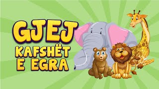 Loja Gjej Kafshët e Egra 🐻 Tingujt e Kafsheve Shqip për Fëmijë [upl. by Barabbas]