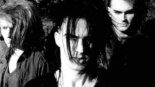 Skinny Puppy Assimilate [upl. by Nivahb167]