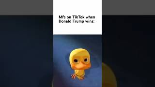 Mfs on TikTok rn [upl. by Tootsie637]