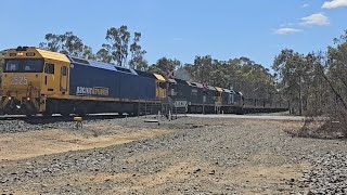 7936V7734V PN loaded grain 3 locos Speed to Geelong 1205 11124 North Ararat VIC [upl. by Humo]