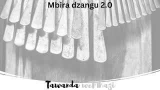 Mbira dzangu 2 0 [upl. by Sherwin]