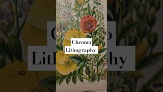 Chromolithography [upl. by Ardnuahc]