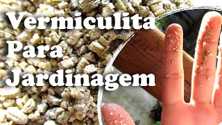 Vermiculita para Jardinagem  O Que é e Como Utilizar a Vermiculita [upl. by Omarr291]