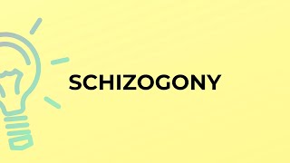 What is the meaning of the word SCHIZOGONY [upl. by Ile]