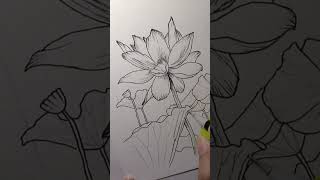 Lotus 1 part h “Drawn From Nature  Lotus” a Kickstarter Make100 project coming in January 2025 [upl. by Harbird]