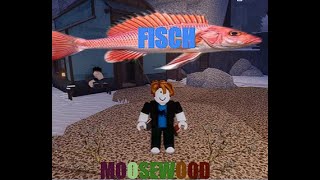 10 minutes in Moosewood  roblox fisch series part 1 [upl. by Elmo]