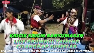 KRICIK KRICIK BANYUMASAN LIVE GRUMBUL TAMENG CILANGKAP GUMELAR [upl. by Nrubloc]