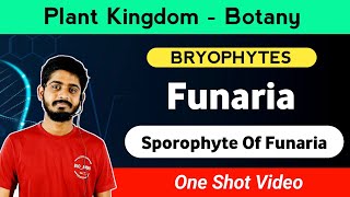 Bryophyte  Funaria of Sporophyte  Funaria sporophyte Structure  By Aman Bhaiya [upl. by Juliann]