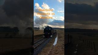 Eisenbahn Romantik im Oberharz 996001 HSB Selketalbahn Harzer Schmalspurbahn [upl. by Khanna]