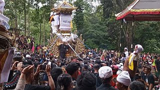 NGABEN MASAL SEMETON DADIE CELAGI 2024 TGL 13 JUNI tradisi bali viral [upl. by Nyrat]