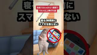 低身長が身長10m以上伸びた方法【猫ミーム】shorts 猫マニ猫ミーム [upl. by Ynneb]