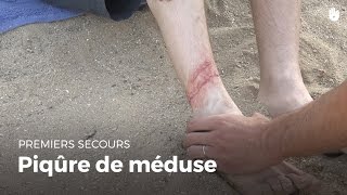 Premiers secours  Piqure de méduse  Secourisme [upl. by Jonna122]