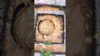 Effective Natural Remedies for Clogged Drains [upl. by Keelin]