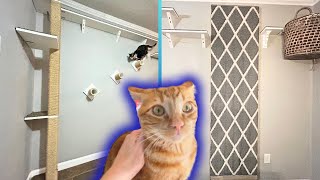 DIY Cat Carpet Wall Swinging Bridge amp Eight Foot Scratch Post [upl. by Ynohtnakram]