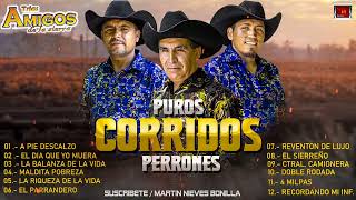 AMIGOS DE LA SIERRA  ‼️PUROS CORRIDOS PERRONES ‼️ Los Más Escuchados 🎬🎶 [upl. by Libove161]