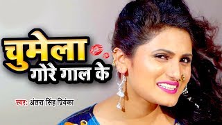 चुमेला गोर गाल के VIDEO  Antra Singh Priyanka  Chumela Gore Gaal Ke  Bhojpuri Hit Song [upl. by Adlih819]