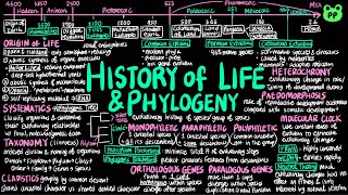 History of Life amp Phylogeny  Evolution amp Phylogeny 02  Biology  PP Notes  Campbell 8E Ch 2526 [upl. by Ahsemed]