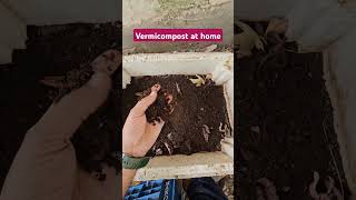 Vermicompost at home vermicompost vermiculture farming farmer kisan compost agriculture [upl. by Alauqahs]