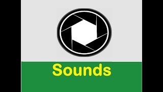 Camera Shutter Sound Effects All Sounds [upl. by Ititrefen123]