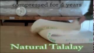 Talalay Latex Mattress vs Dunlop Latex Mattress [upl. by Macomber]