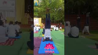 yogaarambh ho dance international yoga day 2024 yoga pm Modi shortvideo international yoga [upl. by Nelav]