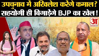 UP By Election 2024 उपचुनाव में Akhilesh Yadav करेंगे कमाल सहयोगी बिगाड़ेंगे BJP का खेल Congress [upl. by Refinej]