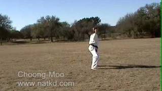 Choong Moo  Black Belt Recommended Form [upl. by Arette]