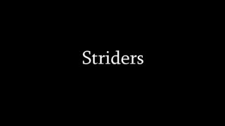 Striders Short Film [upl. by Eceeryt]