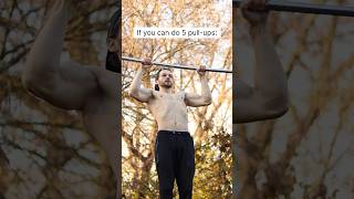 How Many Pull Ups Do you NEED calisthenics [upl. by Keram]