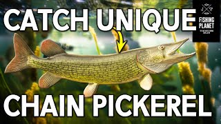 How to catch Unique Chain Pickerel on Emerald lake New York  Fishing Planet [upl. by Adnwahs]